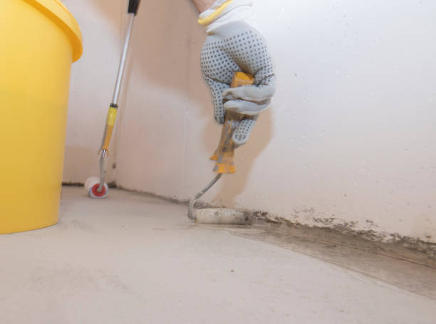 Emergency Pest Control Services in Indianola, IA